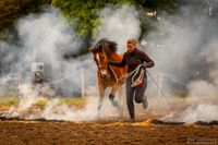 Feuerkurs EmotionPferd