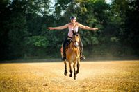 Pferd galoppiert auf dem Feld, Reiterin reitet freih&auml;ndig